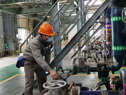 田東 防疫保供兩不誤 工業(yè)農(nóng)業(yè)復工忙